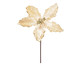 Enfeite Poinsetia Flor de Cabo Médio Bege II, Dourado | WestwingNow