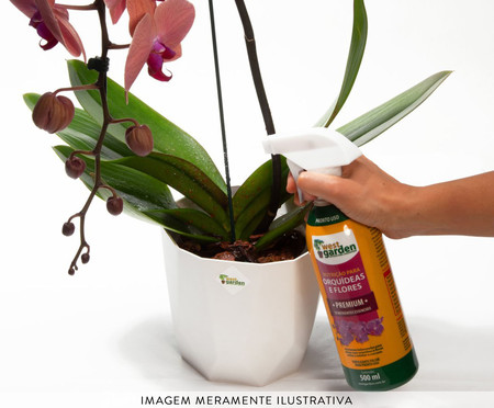Pronto Uso Premium Nutrição Orquídeas Flores | WestwingNow