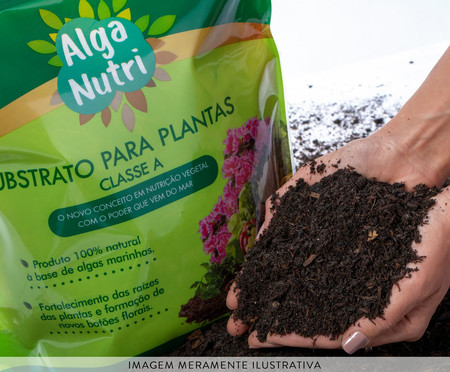 Substrato Organico Alga Nutri West Garden | WestwingNow