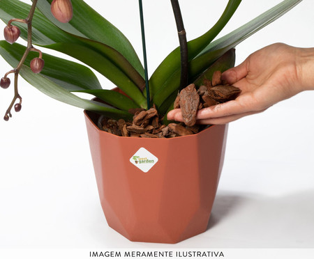 Substrato para Orquídeas Premium | WestwingNow