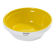 Bowl Pantone Amarelo | WestwingNow