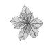Flor Natalina Prata, silver | WestwingNow