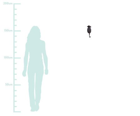 Cabideiro de Metal Um Gancho Abacaxi - Preto | Westwing