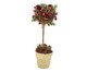 Mini Árvore de Natal Goly, Marrom | WestwingNow