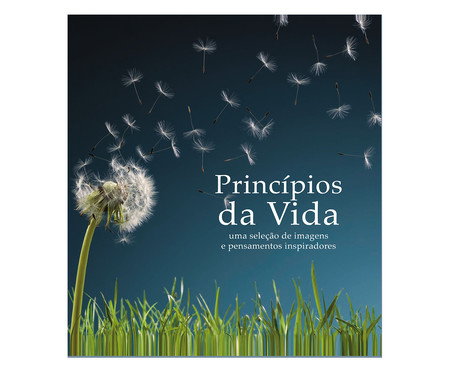 Livro 