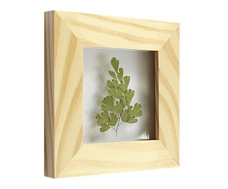 Quadro Avenca Pinus | Westwing