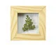 Quadro Avenca Pinus, Colorido | WestwingNow