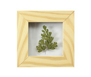 Quadro Avenca Pinus - Hometeka | WestwingNow