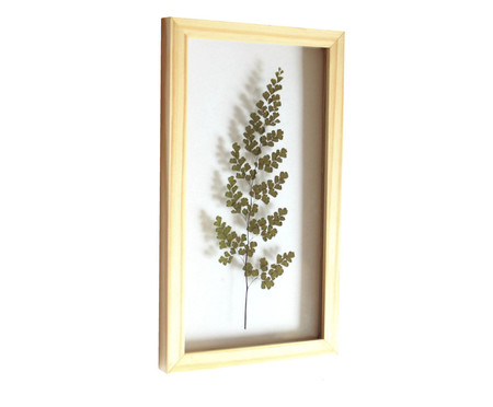 Quadro Avenca Pinus - Hometeka | WestwingNow