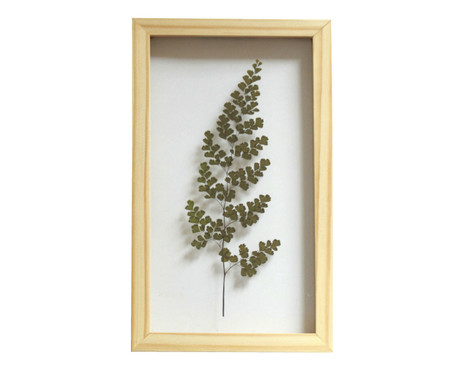 Quadro Avenca Pinus - Hometeka