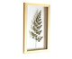 Quadro Avenca Pinus, Colorido | WestwingNow