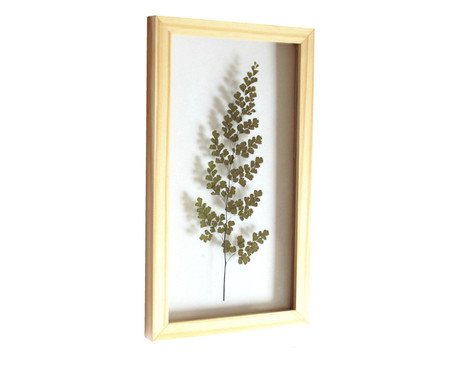 Quadro Avenca Pinus | Westwing