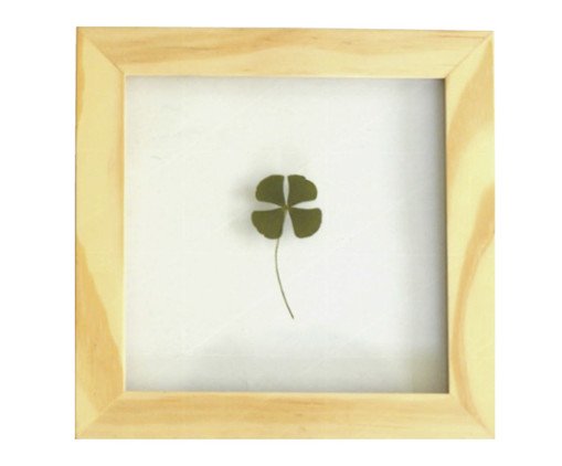 Quadro Trevo Pinus, Colorido | WestwingNow