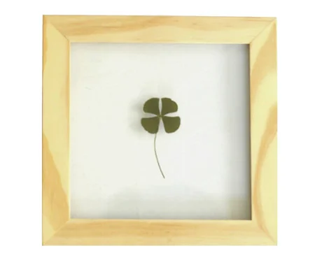 Quadro Trevo Pinus | Westwing