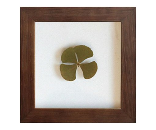 Quadro Trevo Imbuia, Colorido | WestwingNow