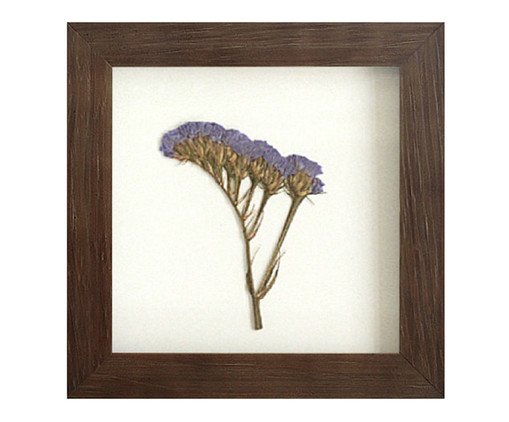 Quadro Statice Roxa Imbuia, Colorido | WestwingNow