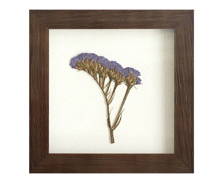 Quadro Statice Roxa Imbuia | Westwing