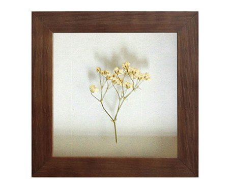 Quadro Mosquitinho Imbuia | Westwing