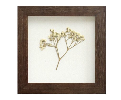 Quadro Mosquitinho Imbuia, Colorido | WestwingNow