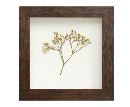 Quadro Mosquitinho Imbuia | Westwing