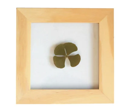 Quadro Trevo PinusII | Westwing