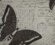 Capa de Almofada Butterfly Marrom, Colorido | WestwingNow