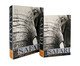 Jogo de Book Boxes Safari, Preto | WestwingNow