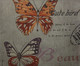 Capa de Almofada Butterfly, Colorido | WestwingNow