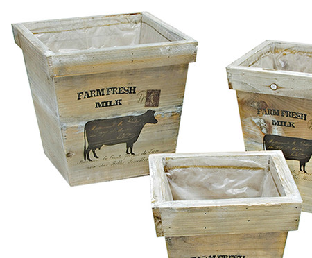 Jogo de Cachepots Farm Fresh Box | WestwingNow