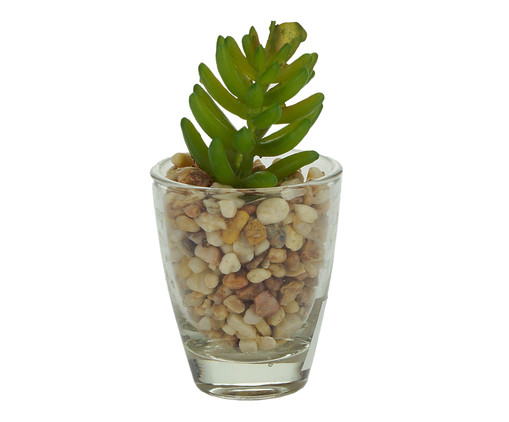 Vaso com Planta Little - Transparente, Transparente | WestwingNow