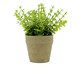 Vaso Sedum - Verde, Verde | WestwingNow