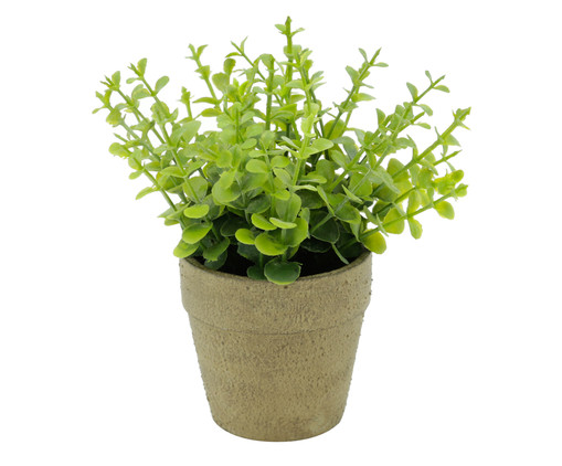 Vaso Sedum - Verde, Verde | WestwingNow