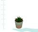 Vaso com Planta Permanente Dual Colors, Branco e Rosa | WestwingNow
