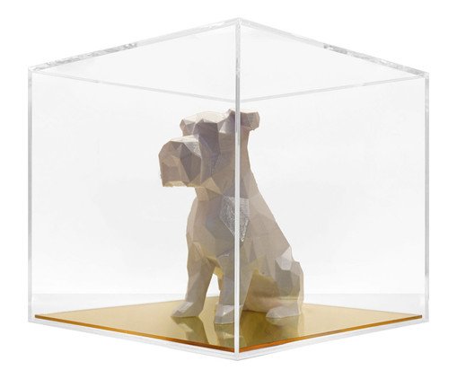 Schnauzer Branco, Colorido | WestwingNow