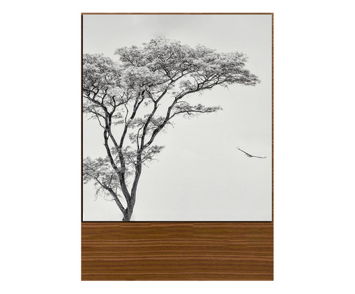 Quadro Nature White II, Colorido | WestwingNow