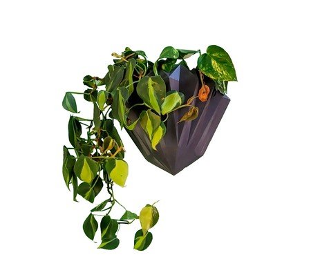 Vaso de Parede para Jardim Vertical Diamante Cinza Chumbo | Westwing