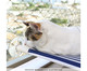 Catbed Mykonos, Azul | WestwingNow